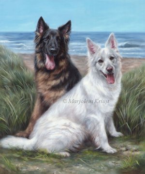 dierenportret herdershonden olieverf