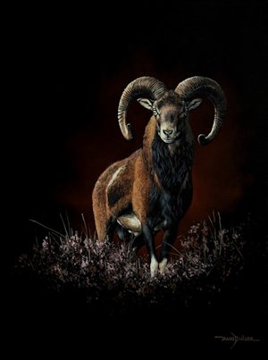 Olieverf tafereel wildlife bok